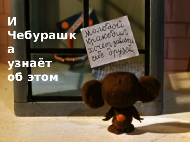 И Чебурашка узнаёт об этом  
