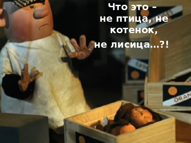Что это – не птица, не котенок, не лисица…?!  