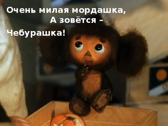 Очень милая мордашка,  А зовётся – Чебурашка!  