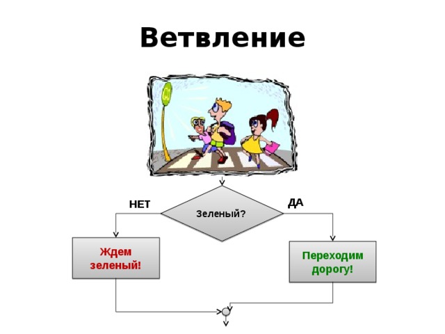 Ветвление Зеленый? ДА НЕТ Ждем зеленый! Переходим дорогу! 