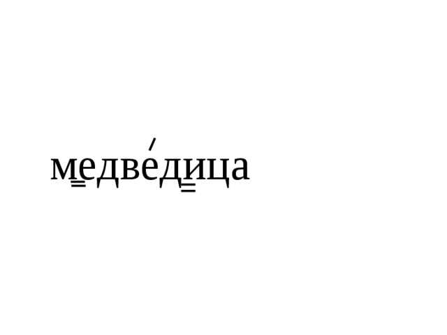 медведица 