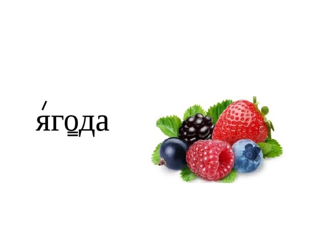 ягода 