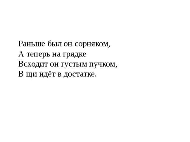 Раньше был он сорняком,  А теперь на грядке  Всходит он густым пучком,  В щи идёт в достатке. 