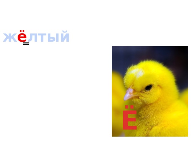 ж ё лтый Ё 