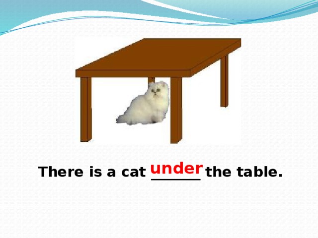 under There is a cat _______ the table. 