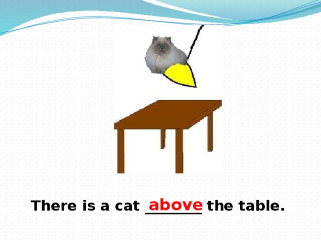 above There is a cat ________ the table. 