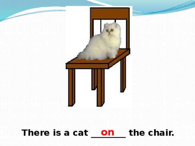 on There is a cat ________ the chair. 