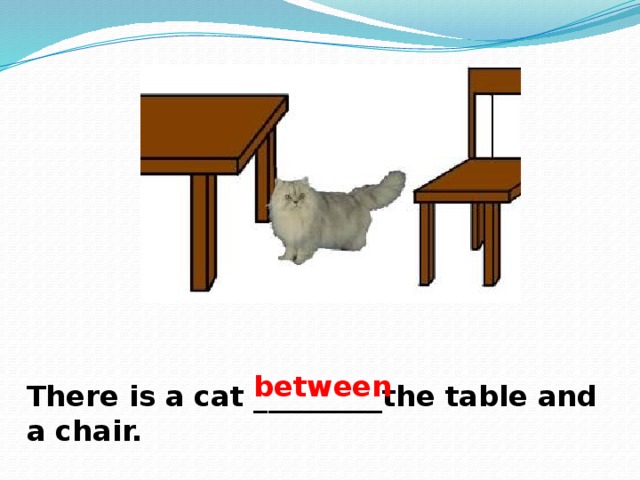 between There is a cat _________the table and a chair. 