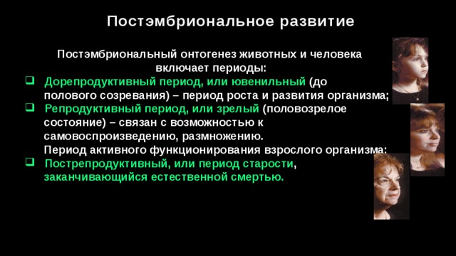 Постэмбриональное развитие на примере человека Презентация "Индивидуальное развитие организмов (онтогенез)"