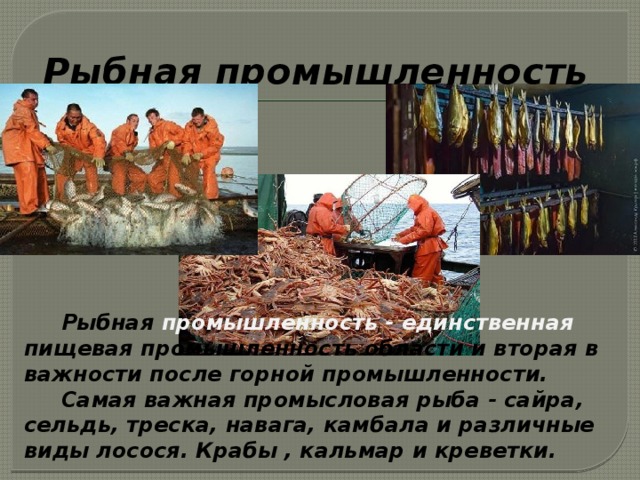 Рыбная промышленность является отраслью специализации