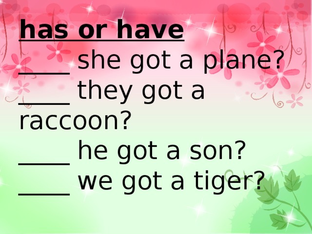 has or have  ____ she got a plane?  ____ they got a raccoon?  ____ he got a son?  ____ we got a tiger? 