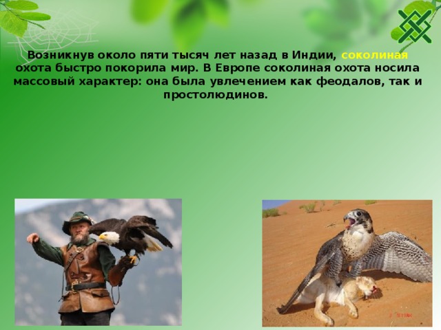 Возникнув около пяти тысяч лет назад в Индии, соколиная охота быстро покорила мир. В Европе соколиная охота носила массовый характер: она была увлечением как феодалов, так и простолюдинов. 