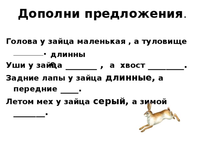 Предложения с пол. Какая голова у зайца. У зайца голова какая прилагательные. У зайца голова уши хвост. Какая у зайца голова уши хвост лапы ответы.