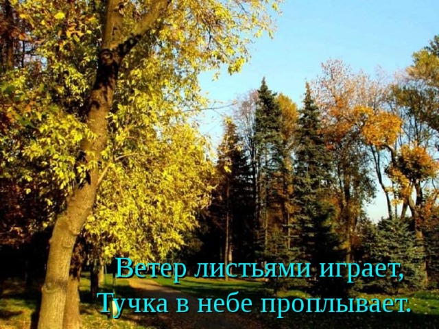  Ветер листьями играет,  Тучка в небе проплывает. 