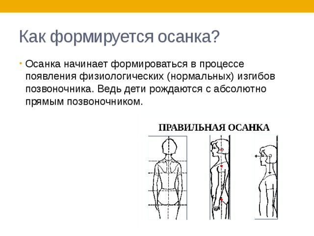 Коррекция осанки и телосложения презентация