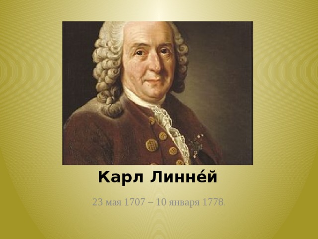 К линней. 23 Мая 1707 Карл Линней. Карл Линней фото. Швед Карл Линней 1707 детство. Карл Линней портрет с подписью.