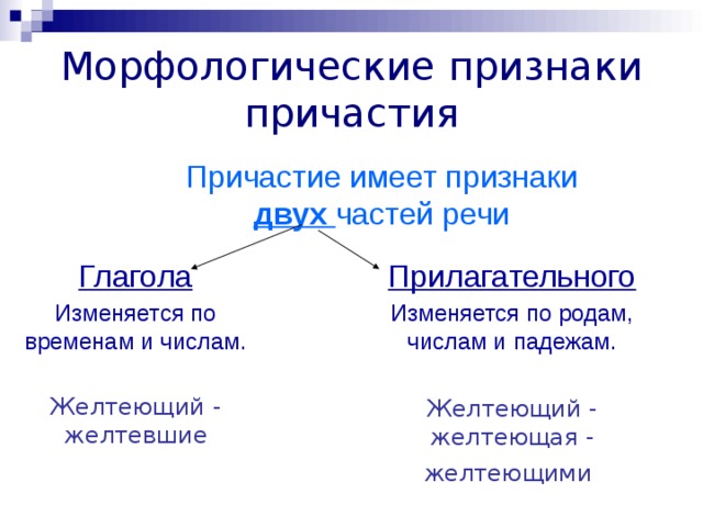 Время постоянный признак причастия