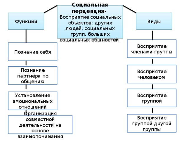 Социальная перцепция это. Социальная перцепция. Асоциальная перцепция. Виды социального восприятия. Восприятие (социальная перцепция)..