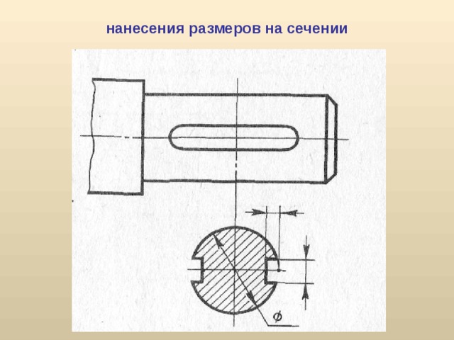 Как нанести размерную линию на рисунок draw