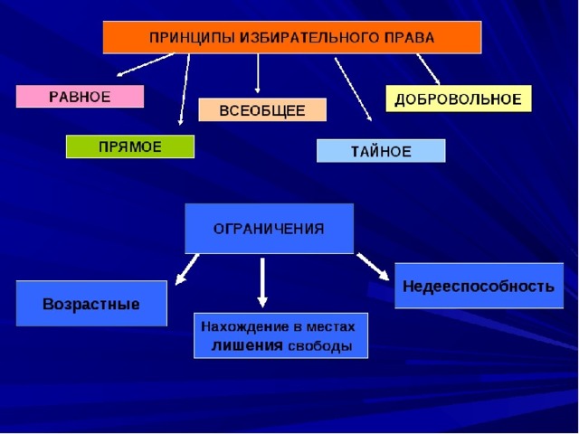 Принципы избирательной системы схема