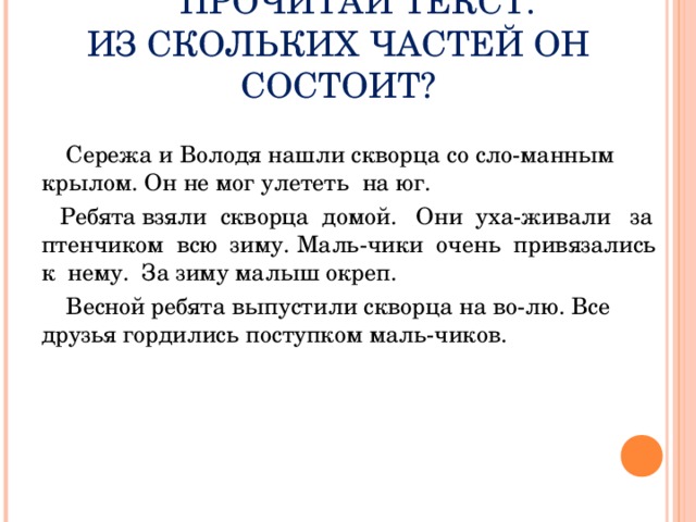 Из скольких частей состоял тигр по мнению главного героя картины полосатый рейс