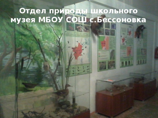 Отдел природы школьного музея МБОУ СОШ с.Бессоновка 