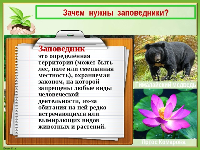 Однкнр 5 класс бережное отношение к природе презентация 5 класс однкнр