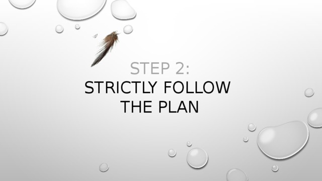 Step 2:  strictly follow  the plan 
