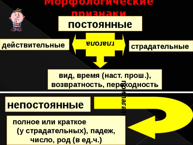 Морфологические признаки глагола  прилагательного постоянные   действительные страдательные вид, время (наст. прош.), возвратность, переходность непостоянные полное или краткое (у страдательных), падеж, число, род (в ед.ч.) 