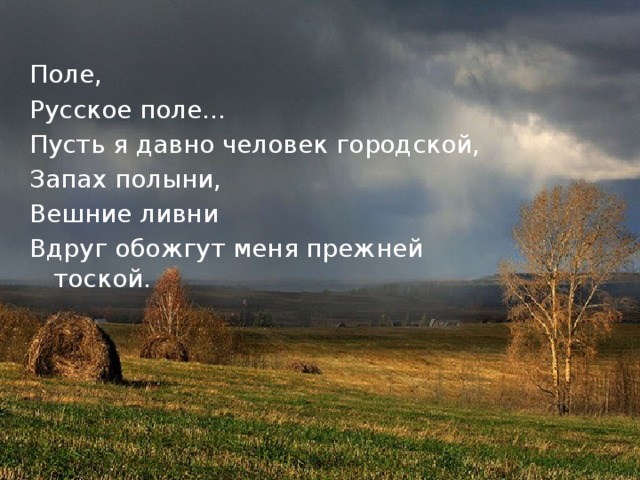 Поле, Русское поле… Пусть я давно человек городской, Запах полыни, Вешние ливни Вдруг обожгут меня прежней тоской. 