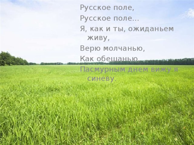 Русское поле, Русское поле… Я, как и ты, ожиданьем живу, Верю молчанью, Как обещанью, Пасмурным днем вижу я синеву. 