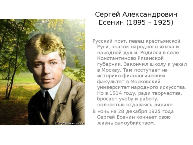 Сергей Александрович Есенин (1895 – 1925) Русский поэт, певец крестьянской Руси, знаток народного языка и народной души. Родился в селе Константиново Рязанской губернии. Закончил школу и уехал в Москву. Там поступает на историко-филологический факультет в Московский университет народного искусства. Но в 1914 году, ради творчества, бросает учебу и работу, полностью отдаваясь лирике. В ночь на 28 декабря 1925 года Сергей Есенин кончает свою жизнь самоубийством. 