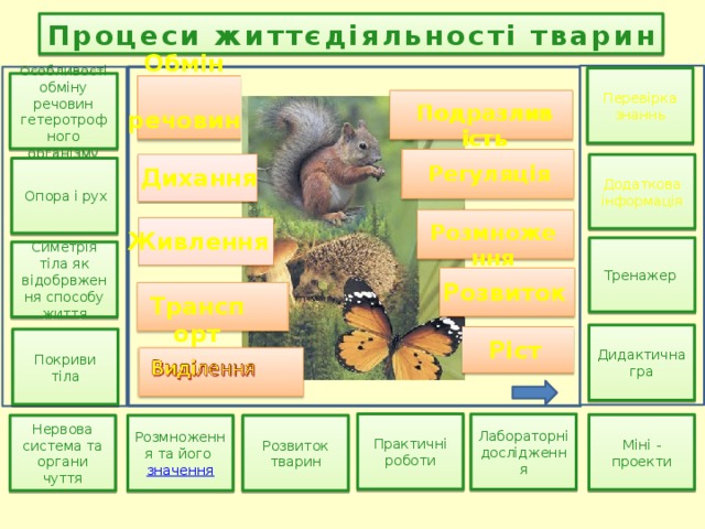 Угрупування тварин міні проект