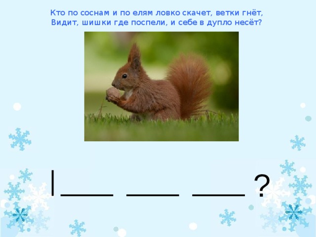 Слово схема белка