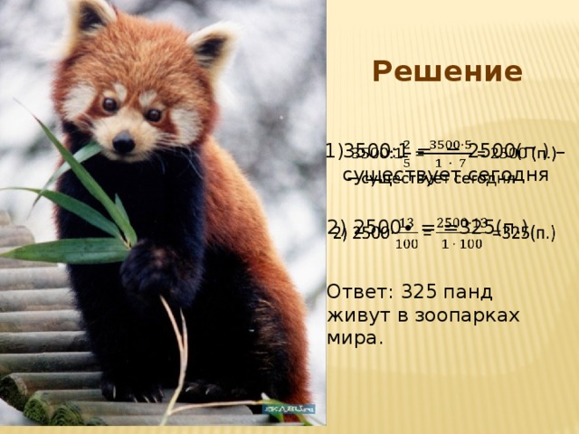 Решение 3500:1 = = 2500(п.) – существует сегодня   1)  2) 2500∙ = =325(п.)   Ответ: 325 панд живут в зоопарках мира. 