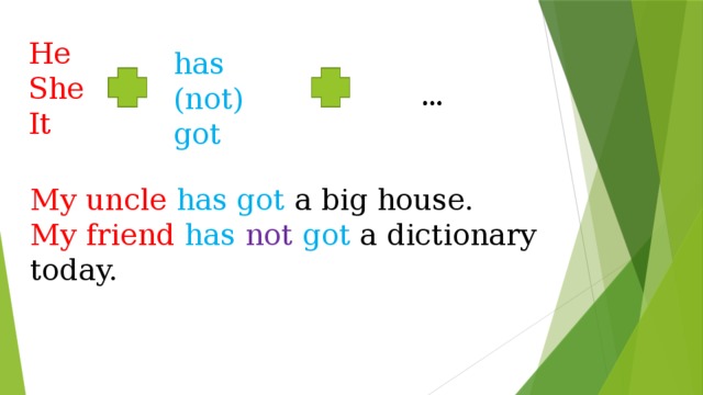 He She It has (not) got My uncle has got a big house. My friend has not  got a dictionary today. 