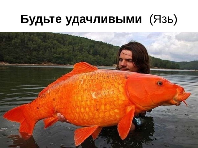 Будьте удачливыми  (Язь) 