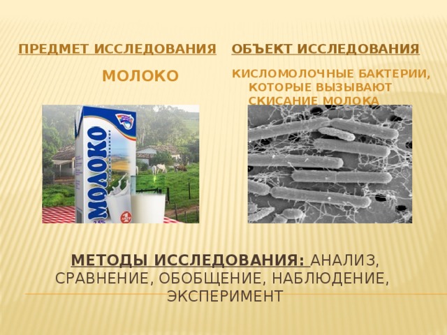 Проект почему скисает молоко 4 класс