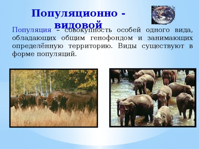 Особенности популяционно видового уровня жизни 10 класс презентация