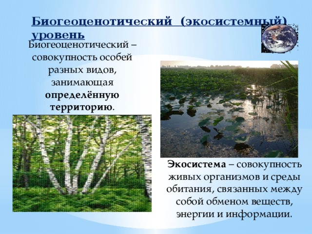 3 биогеоценотический уровень. Экосистемный биогеоценотический. Экосистемный уровень организации жизни. Экосистемный уровень организации живого. Биогеоценотический (Экосистемный) уровень.