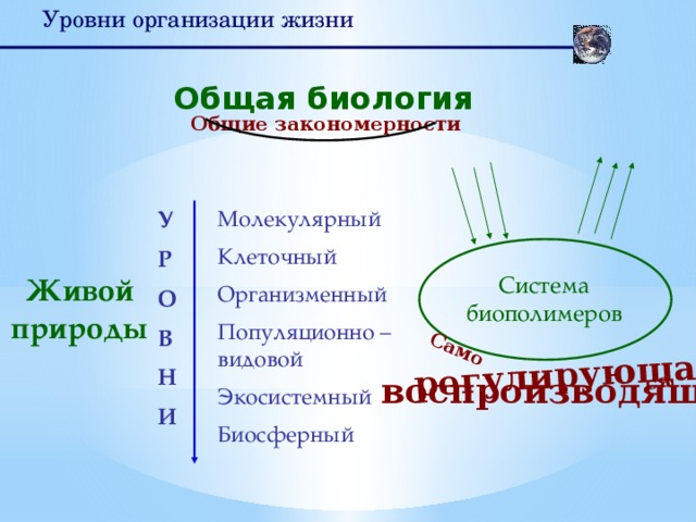 Организменный уровень контрольная работа 9 класс. Организменный уровень жизни. Воспроизведение биология. Общие закономерности биологии уровни. Экосистемный уровень организации жизни.