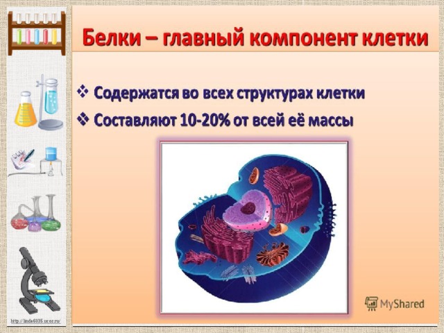 Химический состав клетки 5 класс биология презентация