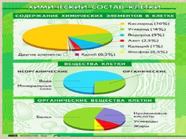 Диаграмма химического состава клетки