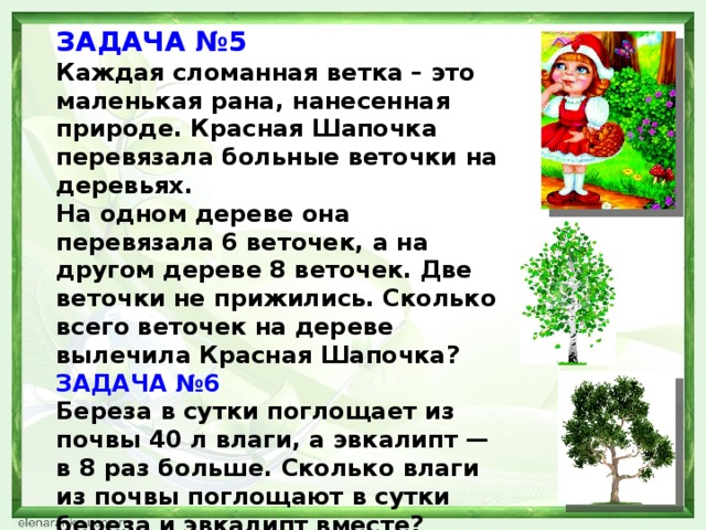 Задачи шапки. Экологическое задание для 5 класса. Эколята перевязывают сломанную ветку дерева. Стих про Эколят ветку дерева забентовывают. «О чём нам рассказала сломанная ветка?»);.