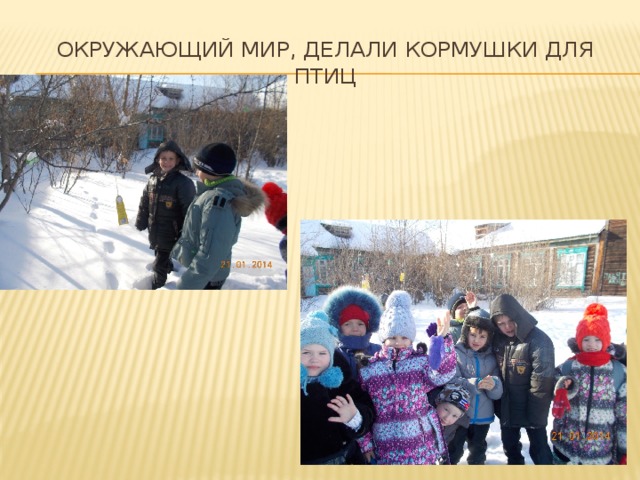 Окружающий мир, делали кормушки для птиц 
