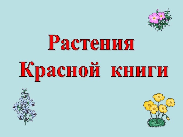 Цветы красной книги презентация