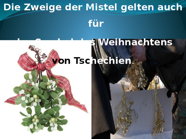 Die Zweige der Mistel gelten auch für  das Symbol des Weihnachtens von  Tsc hechien .  