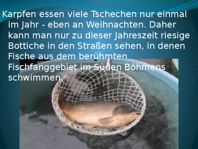 Karpfen essen viele Tschechen nur einmal im Jahr - eben an Weihnachten. Daher kann man nur zu dieser Jahreszeit riesige Bottiche in den Straßen sehen, in denen Fische aus dem berühmten Fischfanggebiet im Süden Böhmens schwimmen.  