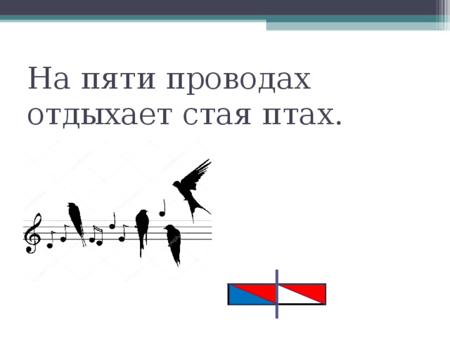 На лесенке заиграли песенки. На пяти проводах отдыхает стая птах. На пяти проводах отдыхает стая птах загадка ответ. Загадка на пяти проводах отдыхает стая птах отгадка. Стая птах на пяти.