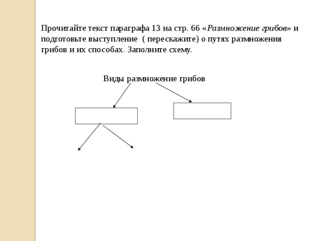 Кто жил в семье борьки заполните схему